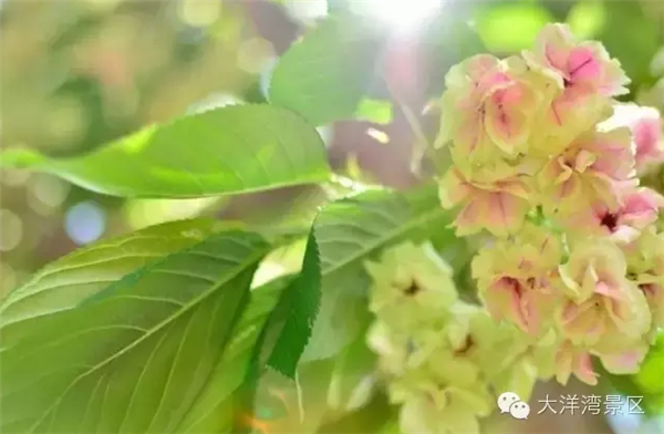 图片12.png