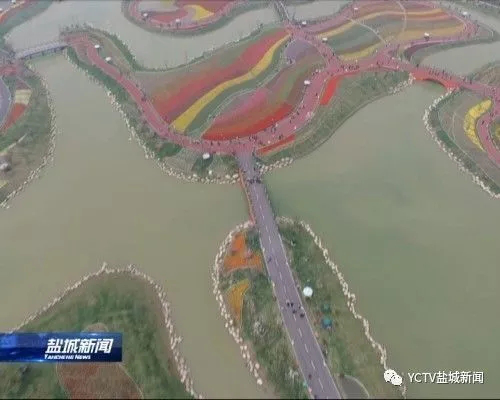 图片11.png