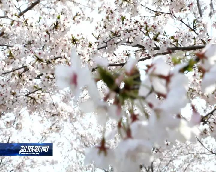 微信图片_20190331201311.jpg