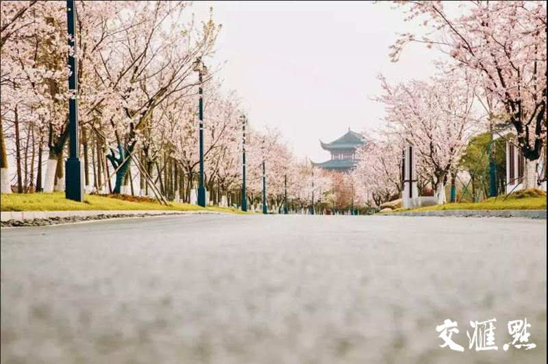 微信图片_20190409161845.png