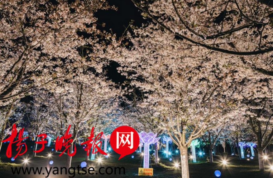 微信图片_20190410113603.png