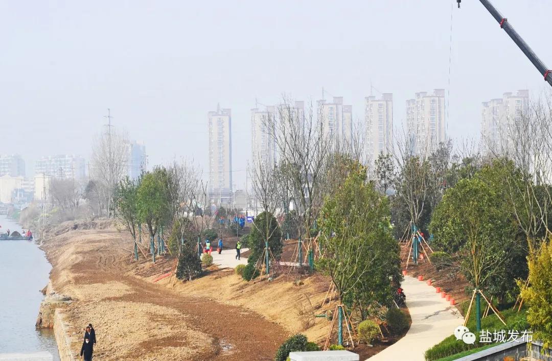 微信图片_20200402170132.jpg
