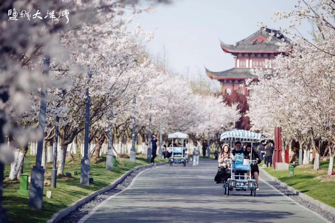 微信图片_20200405170156.jpg