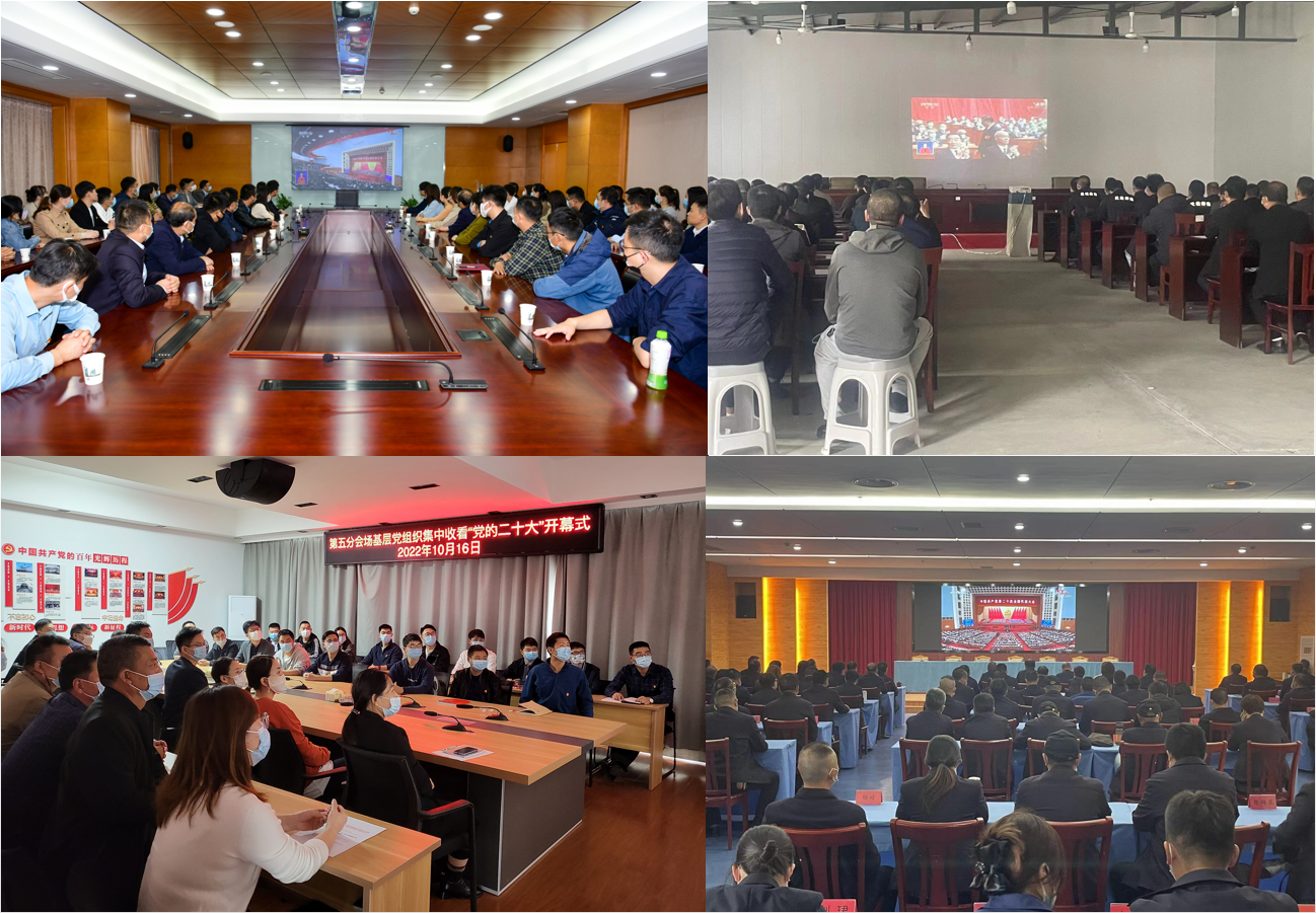 微信图片_20221017095533.png