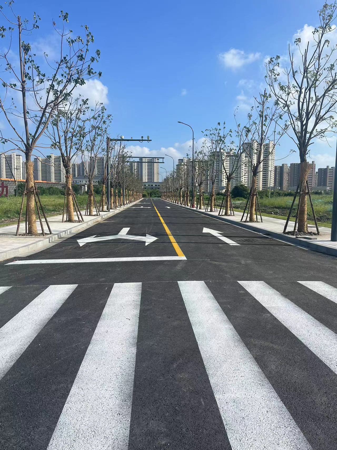 纬十路.jpg