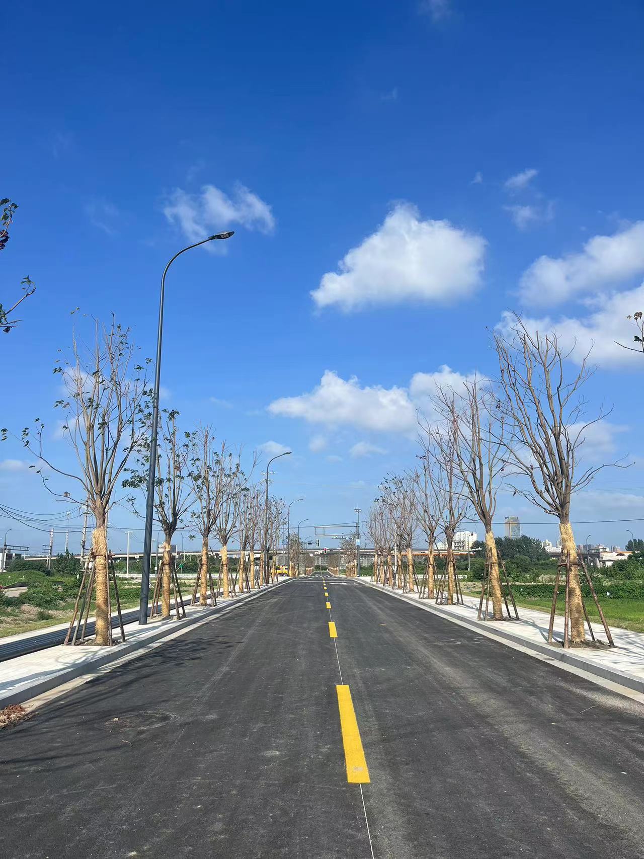 纬十一路.jpg