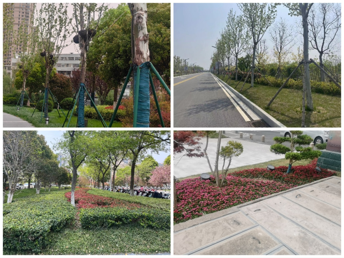 图片48.png