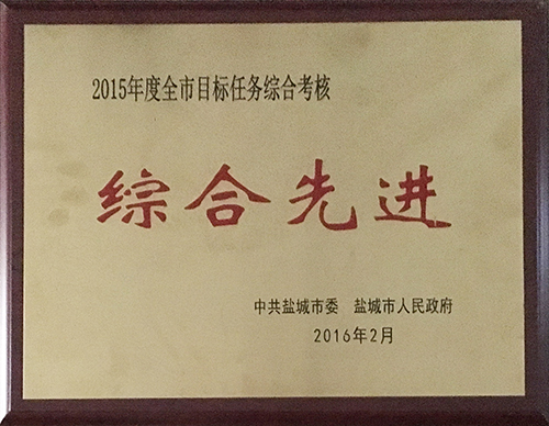 2016年2月全市目标任务综合考核综合先进.JPG